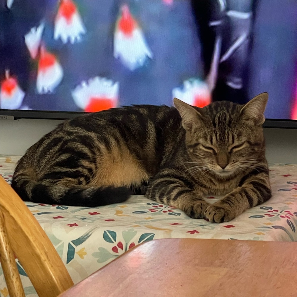 Welcome to my closet